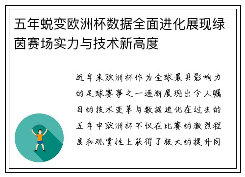 五年蜕变欧洲杯数据全面进化展现绿茵赛场实力与技术新高度